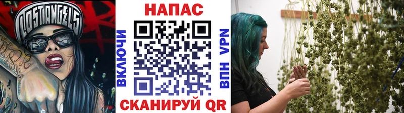Канабис план Саратов